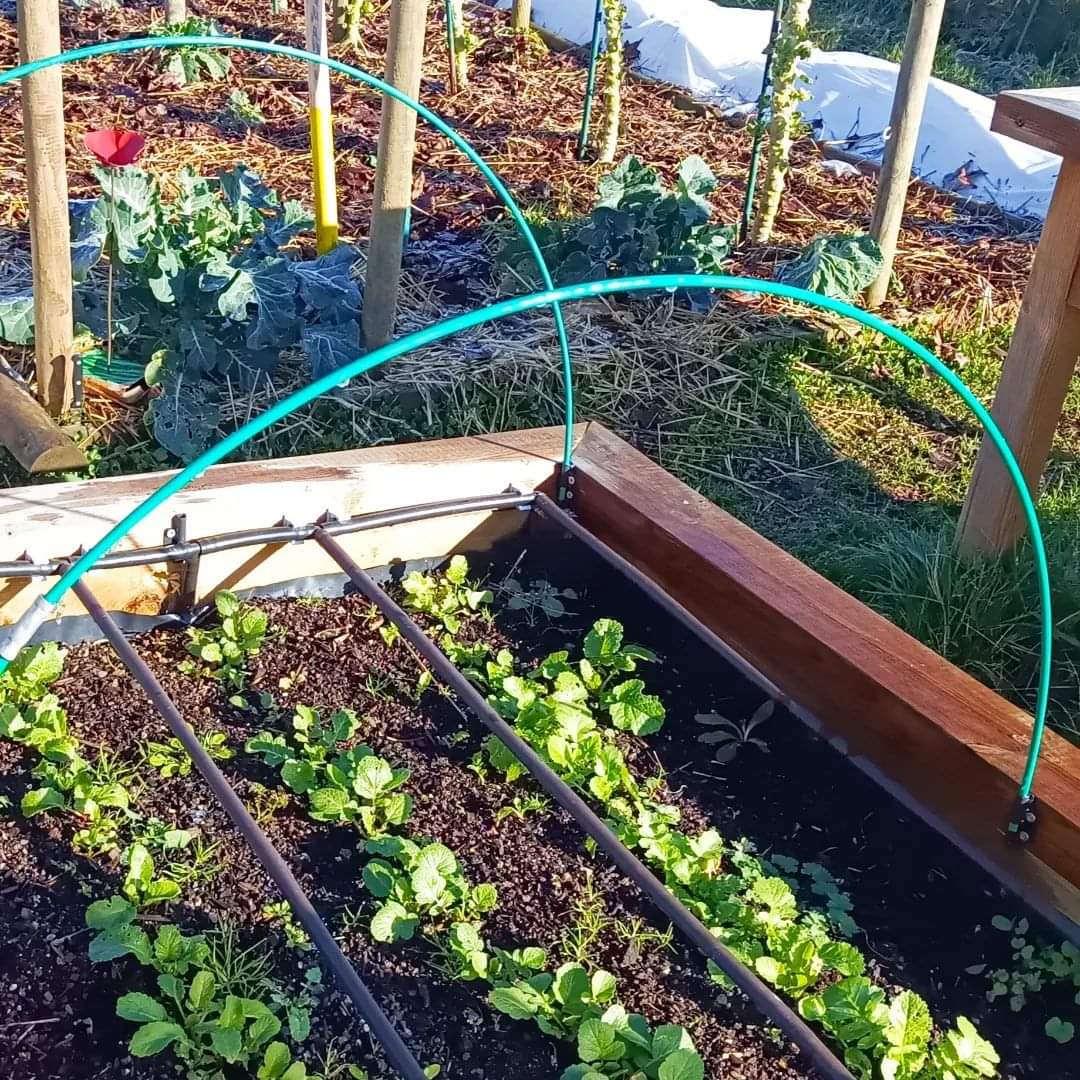 Tunnel potager - Support pour forçage et filet, vente au meilleur prix