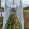 Potager Multifionctions Combi 6 - 4,8mX1,3m – Image 5